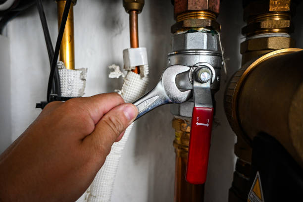 Best Clogged Drain Plumber  in Lanster, CA